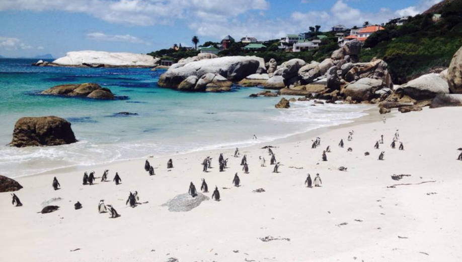 Boulders Beach