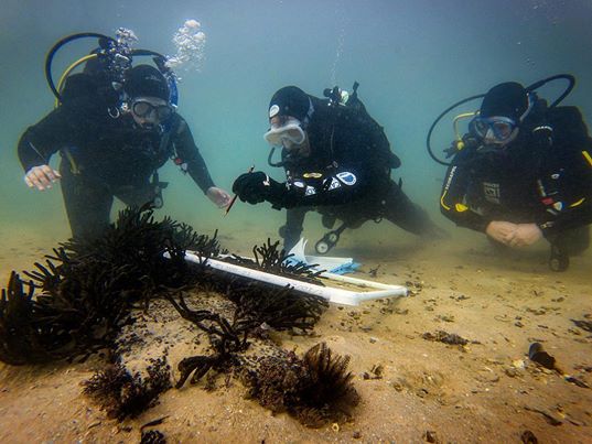 student scientific diver field biologists on a training dive with course instructor 