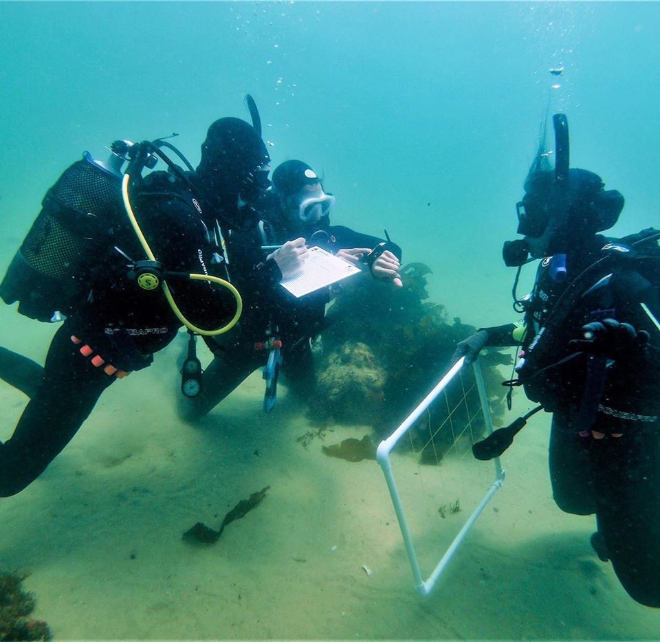 Scientific diving training