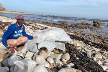 Kyanna poses with a washed up whale bone.