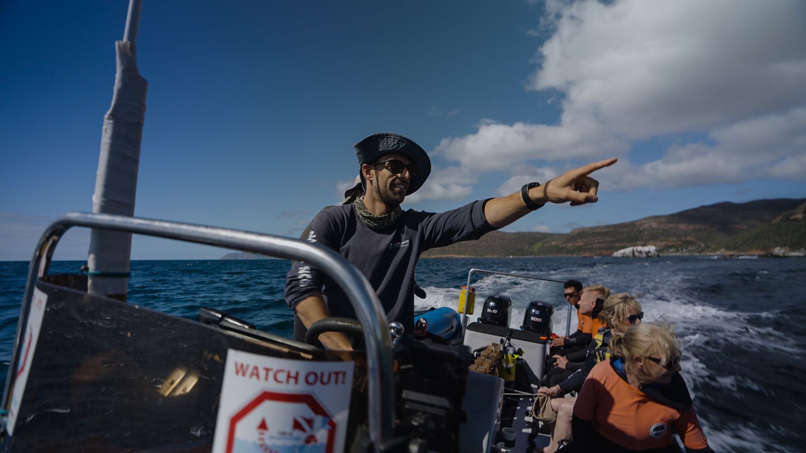 Seal Island Boat Trip - Image 15