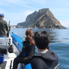 Ocean Safari / False Bay Expedition