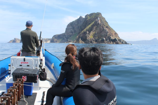 Ocean Safari / False Bay Expedition