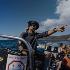 Seal Island Boat Trip