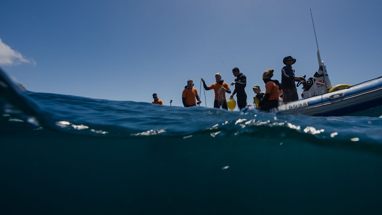 Seal Island Boat Trip - Image 5