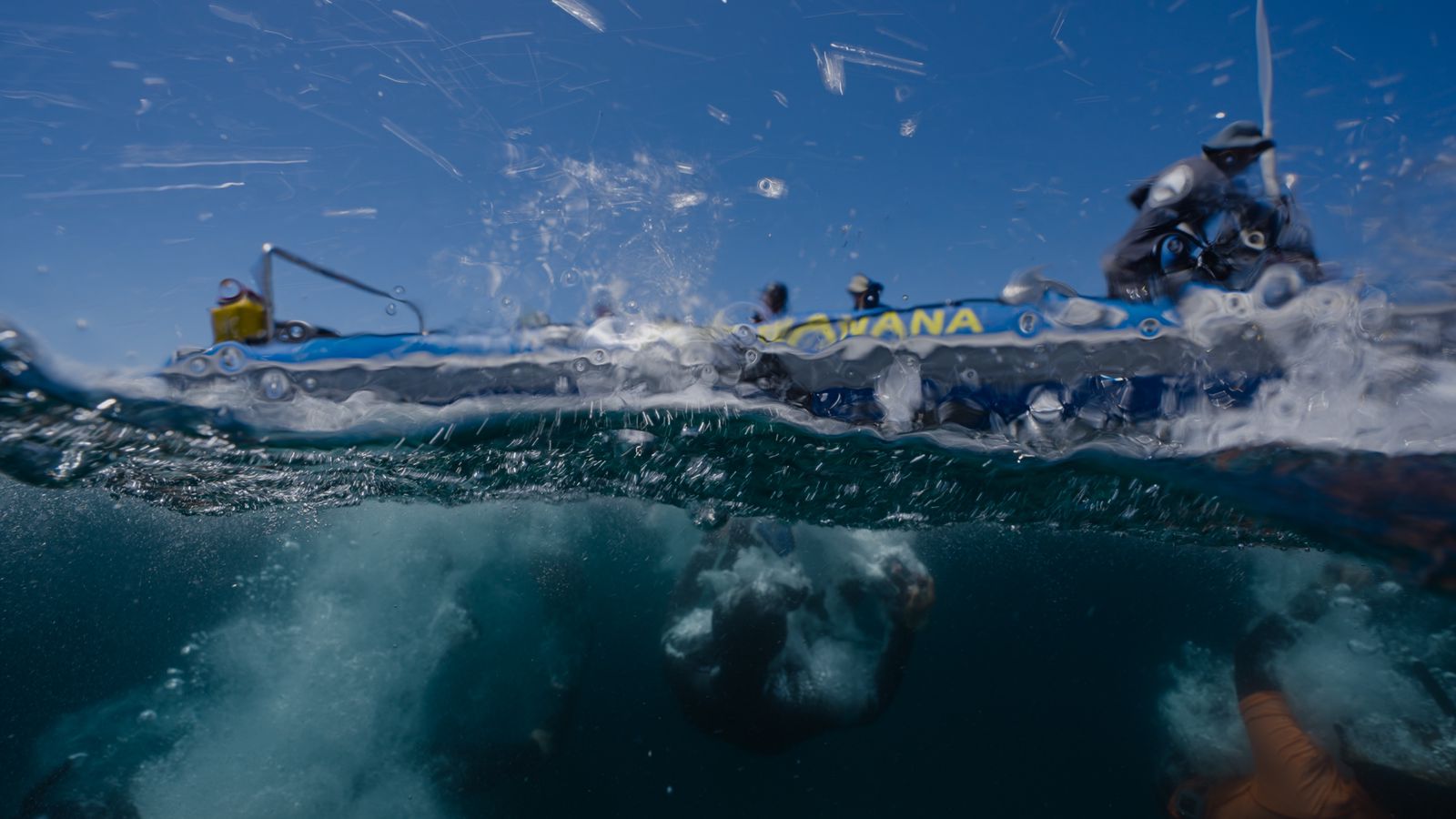 Ocean Safari - Image 7