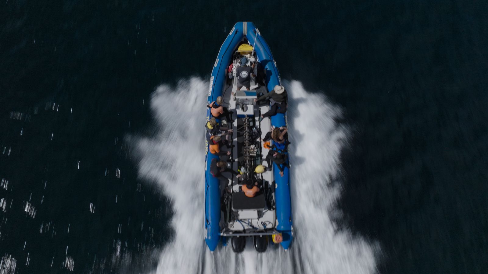 Seal Island Boat Trip - Image 4