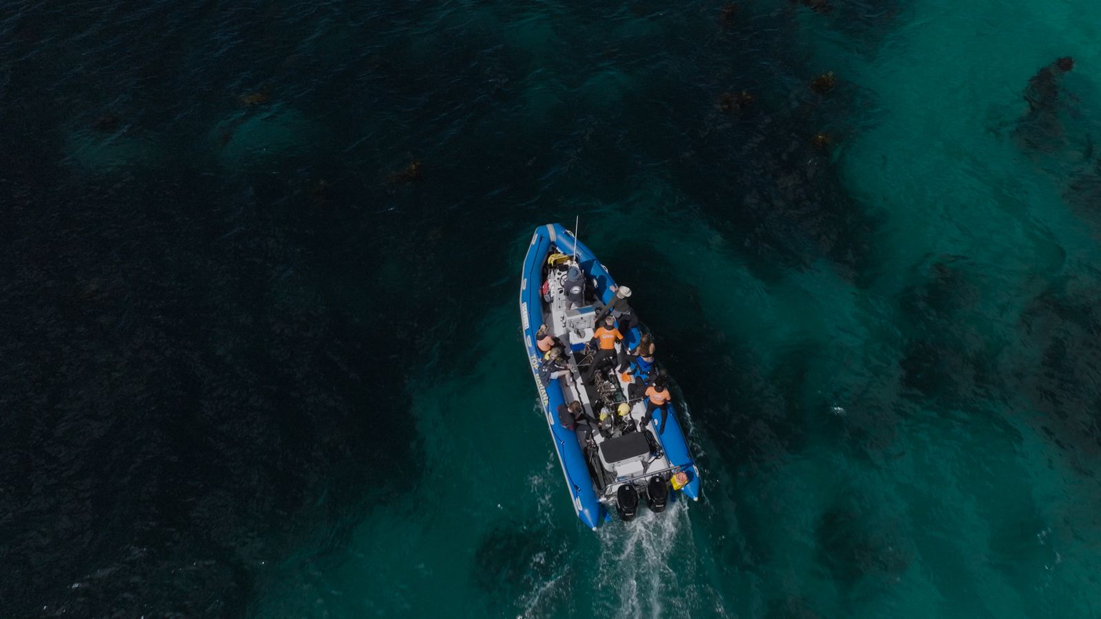 Seal Island Boat Trip - Image 2